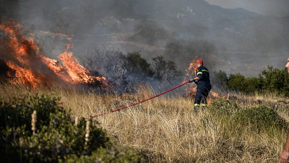 Από τα 550.000 στρέμματα που κάηκαν από το 2017 στην Αττική, τα 410.000 κάηκαν επί Μητσοτάκη!