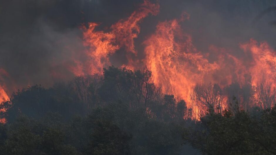 Δεν φταίει μόνο η κλιματική κρίση