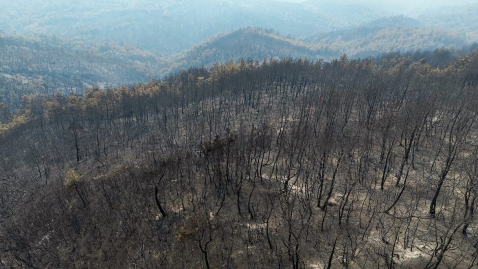 Φωτιές: Αποκαρδιωτικός ο απολογισμός – Κάηκε το 58% του δάσους της Δαδιάς στον Έβρο