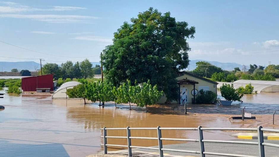 Το κόστος της επόμενης ημέρας από την τραγωδία