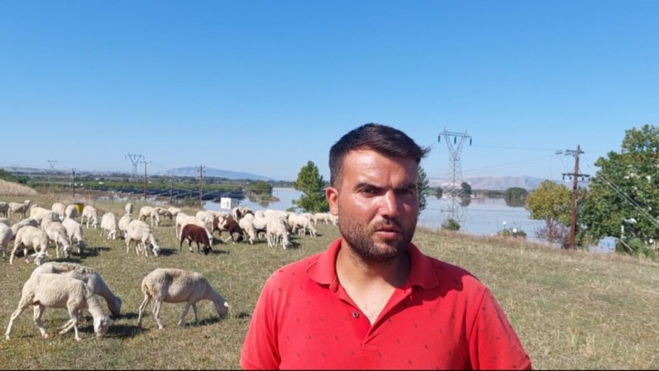 Λάρισα: Κραυγή αγωνίας απο κτηνοτρόφο που κατάφερε να σώσει μέρος του κοπαδιού του από την πλημμύρα (φωτ. & βίντεο)