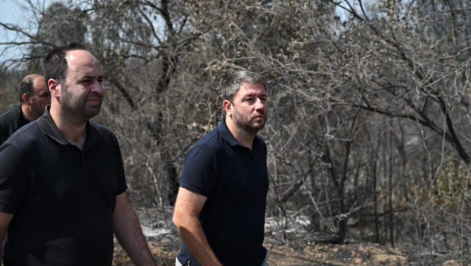 Στη Θεσσαλία σήμερα ο Νίκος Ανδρουλάκης – Θα επισκεφθεί τις πληγείσες περιοχές με την πρόεδρο της ευρωομάδας, Ιράτσε Γκαρσία