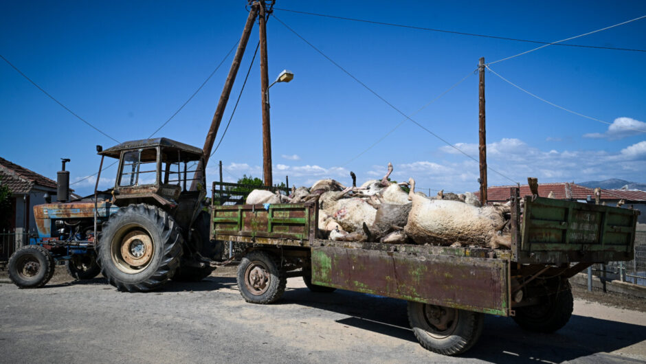 Υφ. Αγροτικής Ανάπτυξης: Άμεσα οι πρώτες αποζημιώσεις – Θα στηρίξουμε οικονομικά και τους αλιείς