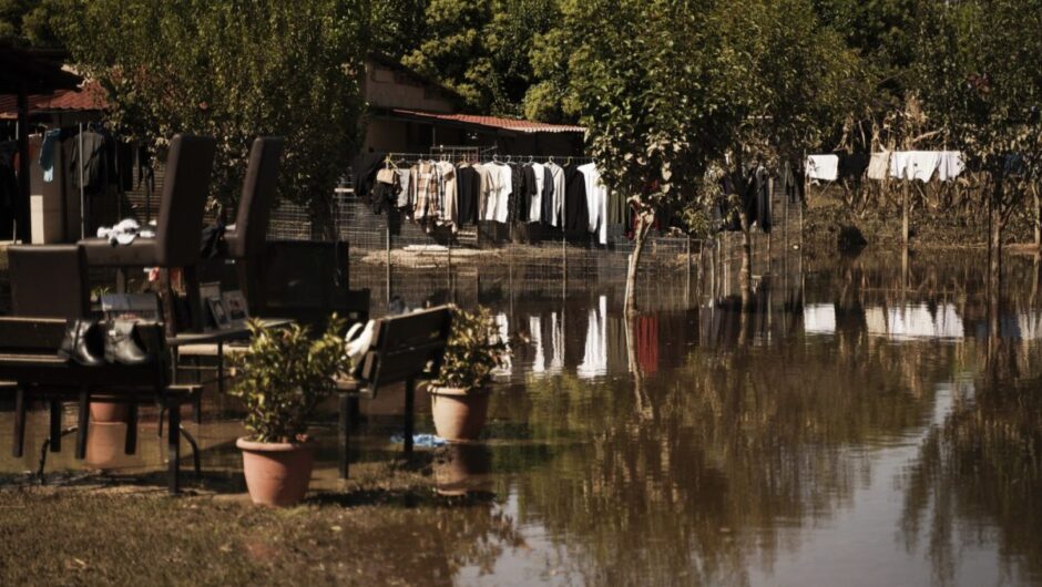 Θεσσαλία: Συνεχίζεται η αποκομιδή και η ταφή νεκρών ζώων
