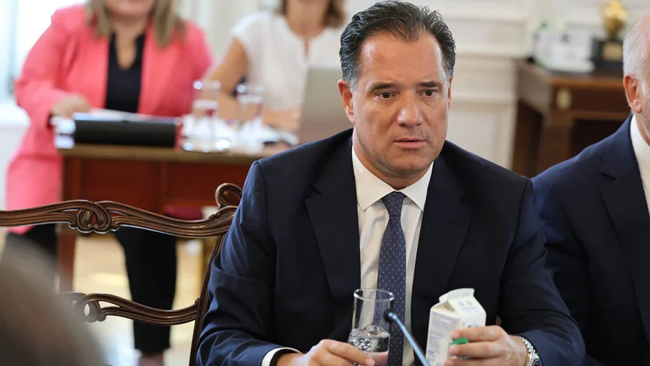 «Το κόμμα των Σπαρτιατών πρέπει να εκπέσει», λέει ο Γεωργιάδης