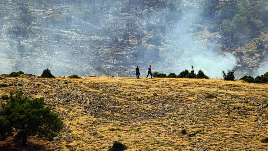 Η καταστροφή σε αριθμούς