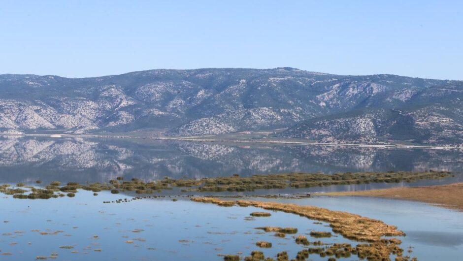 Λίμνη Κάρλα / «Βούλιαξε» μέσα σε 2 εικοσιτετράωρα – Στα 180.000 τα πλημμυρισμένα στρέμματα