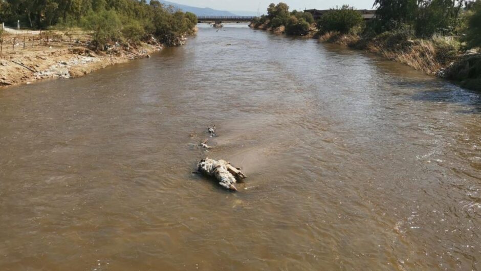 Μαγνησία / Πυρά κατά Αγοραστού, Κολυνδρίνη και Μπέου – «Δώστε τώρα τα αποτελέσματα για το νερό»