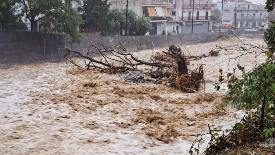 Σε ετοιμότητα  