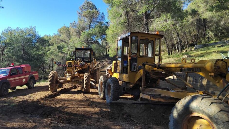 Κυβέρνηση Μητσοτάκη / Βάζουν τους ιδιώτες και στη διαχείριση των δασών