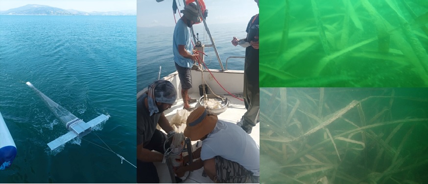 Τα συμπεράσματα του ΙΝΑΛΕ σχετικά με την επιβάρυνση των υδάτων στον Παγασητικό