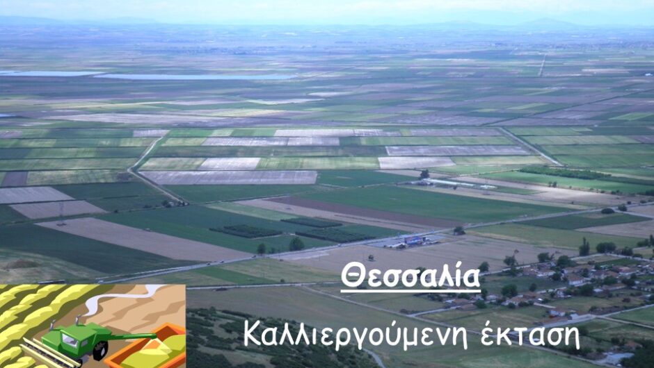 Η ανασυγκρότηση της Θεσσαλίας απαιτεί διαφορετικές προτεραιότητες και «άλλη» νοοτροπία από τους πολιτικούς