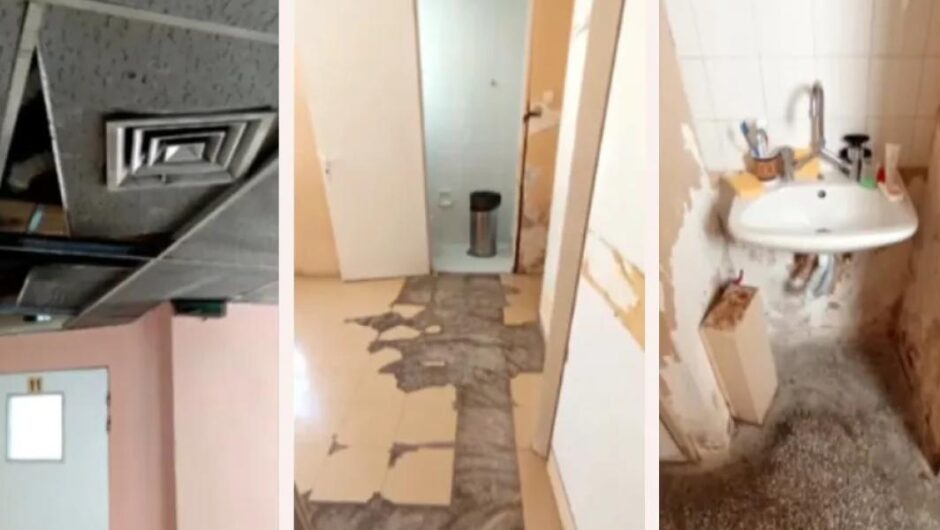 Ανθρωποι και ποντίκια