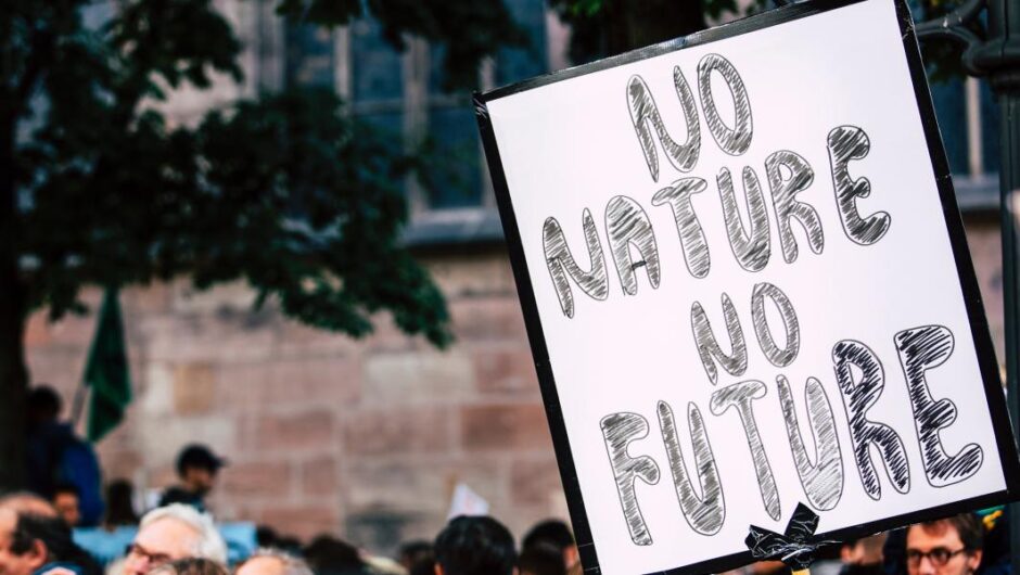 Όρος επιβίωσης