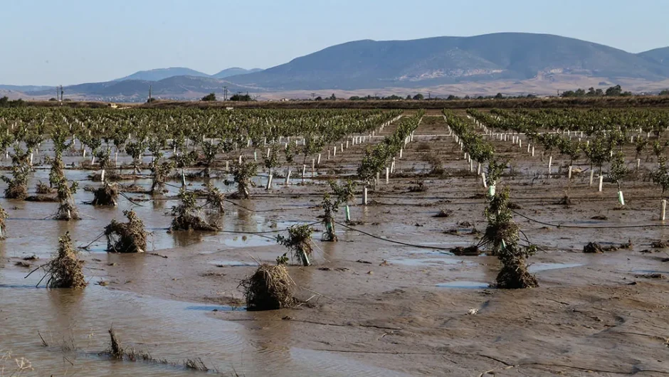 Διαρκής καταστροφή και θλίψη