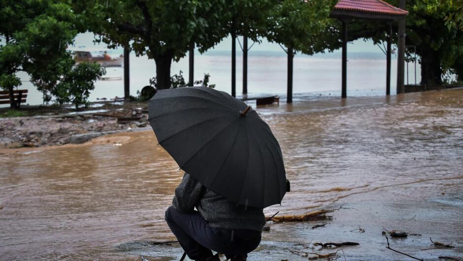Θεσσαλία / Ανησυχία για τις λοιμώξεις – 6 στα 10 κουνούπια διαβιβαστές του ιού του Δυτικού Νείλου
