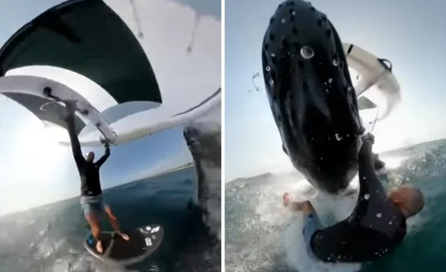 Η απίστευτη στιγμή που σέρφερ καταγράφει τη σύγκρουση με φάλαινα με τη GoPro του – Σκέφτηκα ότι «όλα είχαν τελειώσει»