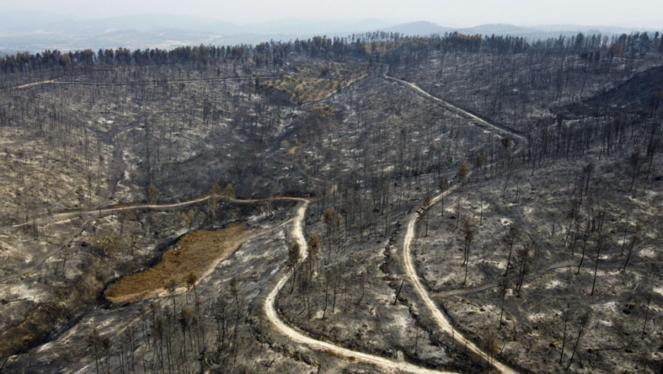 Έβρος / Κυβερνητικός εμπαιγμός- Δεν βγήκε ποτέ υπουργική απόφαση που να απαγορεύει έργα στα καμένα