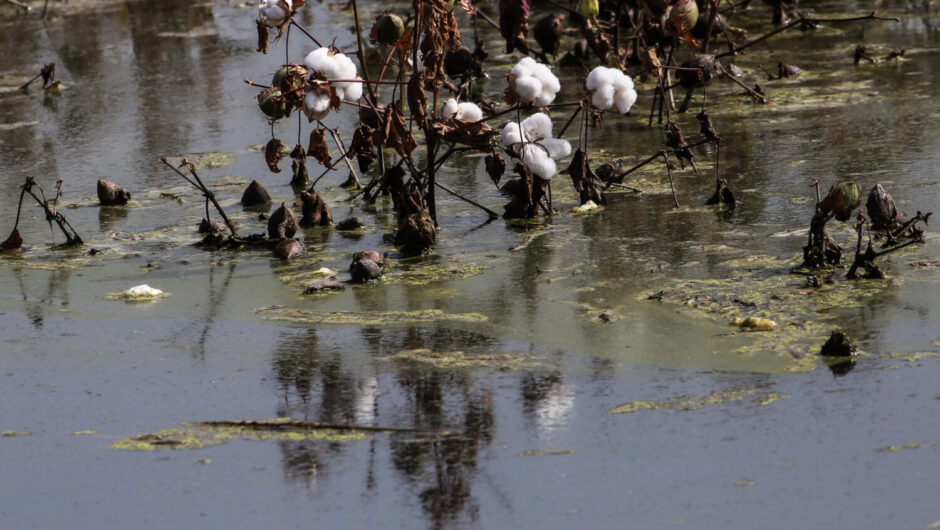 Στον «βάλτο» των καθυστερήσεων η Θεσσαλία – Αγνοούνται… αποζημιώσεις και επιδόματα