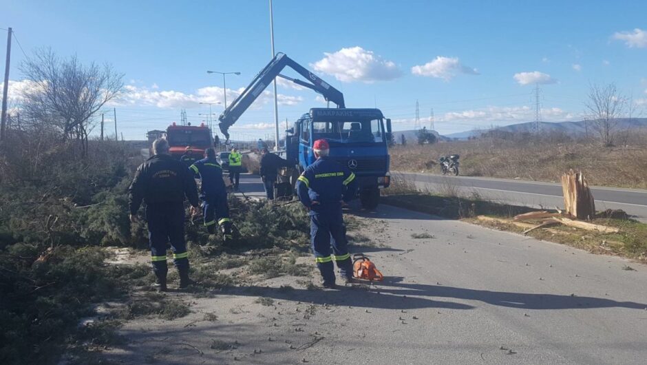 Λάρισα: Έπεσαν δέντρα στην εθνική οδό και μία τέντα από οικοδομή λόγω της κακοκαιρίας