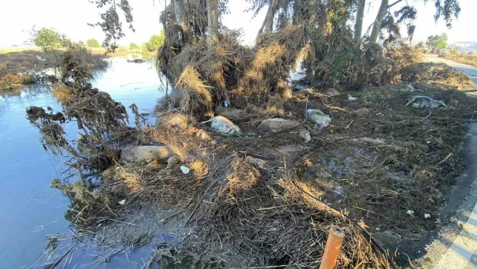 Θεσσαλία: μια εξελισσόμενη περιβαλλοντική και υγειονομική τραγωδία