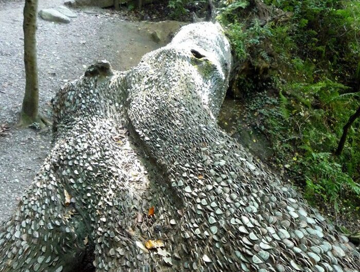 Τα περίεργα δέντρα με τα… νομίσματα