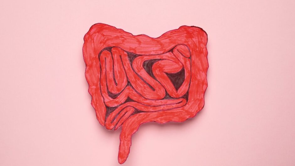 Υγεία του εντέρου: 5 superfoods που συστήνουν πανεπιστημιακές ιατρικές σχολές παγκόσμιας κλάσης