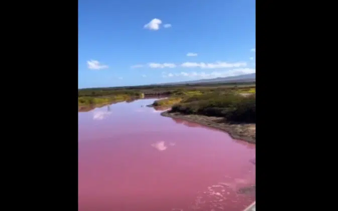 Γιατί βάφτηκε ροζ μια λίμνη στη Χαβάη;