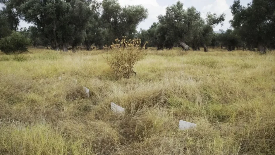 «Αγνώστων στοιχείων» πάνω από 1.000 τάφοι προσφύγων στην Ευρώπη