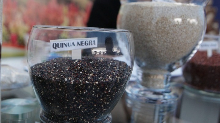 Πανεπιστήμιο Θεσσαλίας: Αυτές είναι οι καλλιέργειες που δεν απαιτούν πολύ νερό