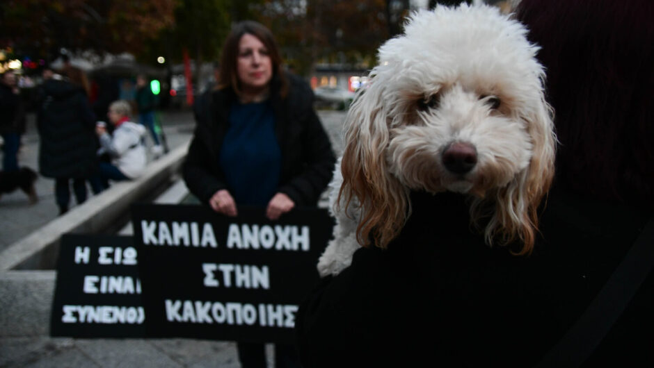 Στοπ στην κακοποίηση των ζώων – Περισσότερες από 300 συλλήψεις μέσα στο 2023