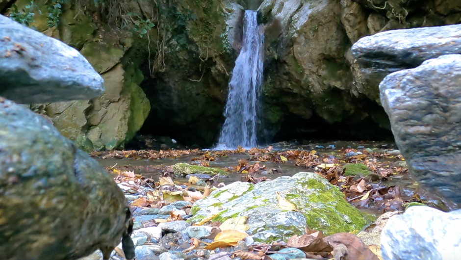 Λάρισα: Αυτός είναι ο πανέμορφος καταρράκτης στην «καρδιά» του Κισσάβου – Δείτε το εντυπωσιακό βίντεο