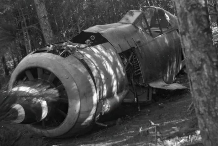 Αλόννησος: Βρήκε στο οικόπεδο του γερμανικό αεροπλάνο και δώρισε τα κομμάτια του στο μουσείο – Η ιστορία και τα μυστήρια που το συνοδεύουν