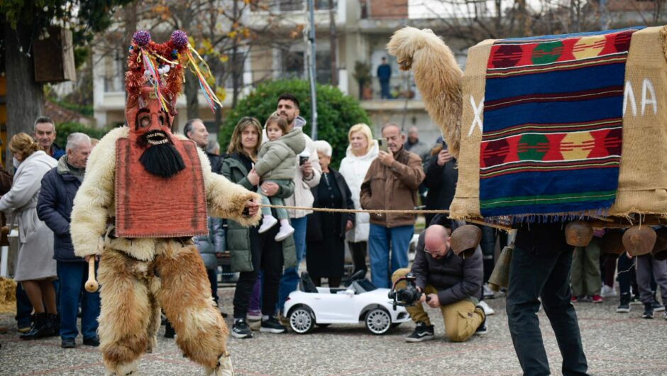 Λάρισα: «Γουρουνοχαρά» με κόσμο και ατελείωτο χορό στη Φιλιππούπολη – «Ζωντάνεψε» το έθιμο με τις καμήλες (φωτό – βίντεο)