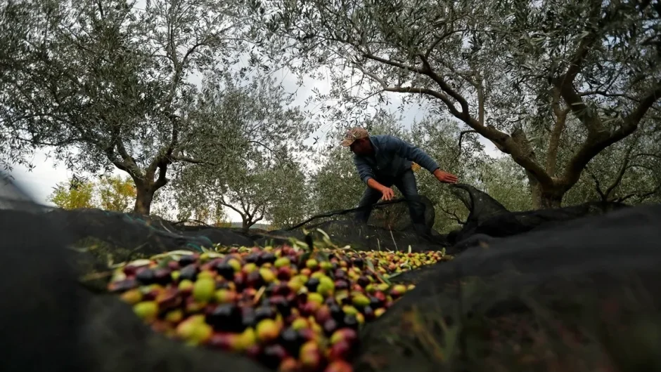 Πότε και πως θα ξαναπάει το λάδι στα 4 ευρώ το λίτρο: Η Ισπανία δίνει τον τόνο και τις λύσεις