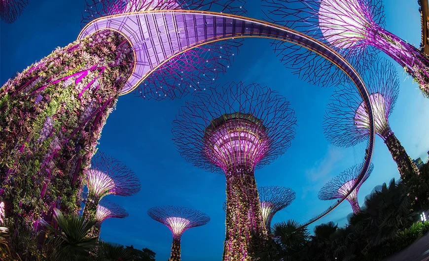 Τα «υπερδέντρα» με ηλιακή ενέργεια που δίνουν ζωή στην αστική όαση της Σιγκαπούρης