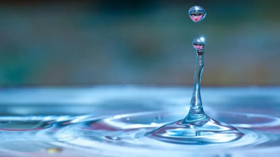 Το τυράκι και η φάκα