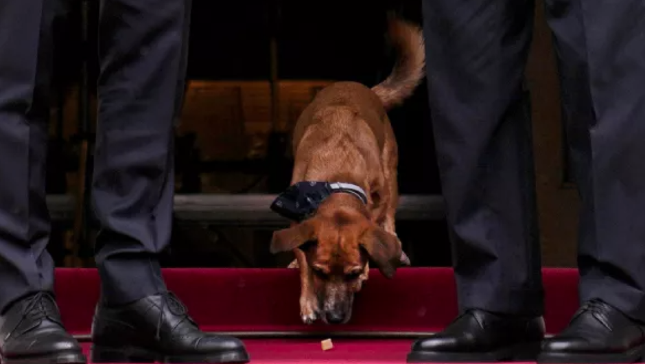 Μητσοτάκης – Ερντογάν / Πέταξαν λιχουδιά στον Πίνατ για να βγει στη φωτογραφία με τους δύο ηγέτες (βίντεο)