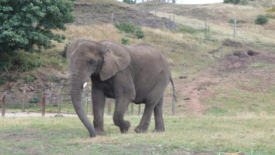 Ιστορίες χωρίς φωνή / Μια ζωή σκλαβιά και απομόνωση
