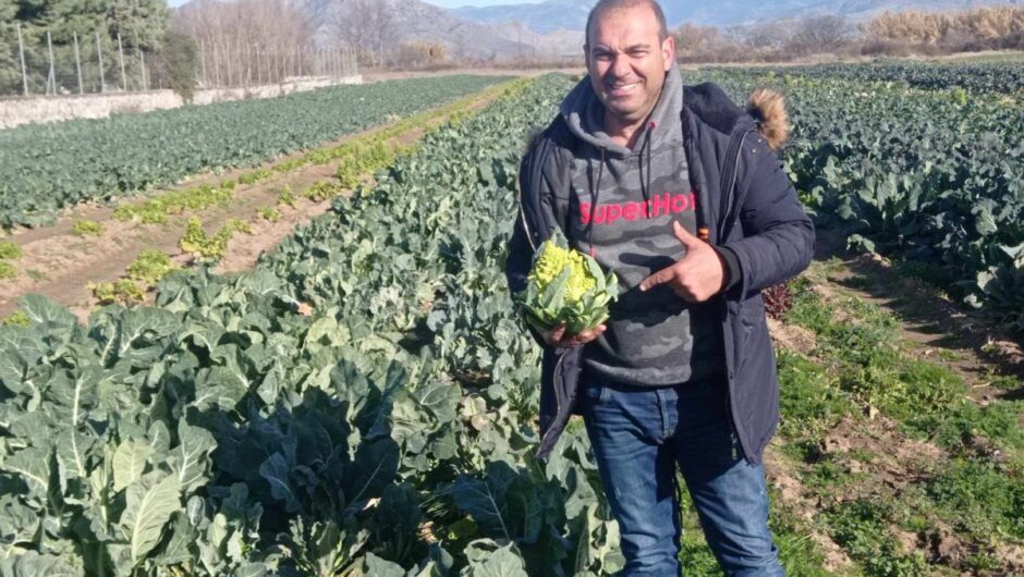 Αυτό είναι το «άγνωστο» λαχανικό με την… εξωγήινη μορφή που κάνει θραύση στους Λαρισαίους – Τί λέει ο παραγωγός που το σύστησε στη Λάρισα (φωτο)