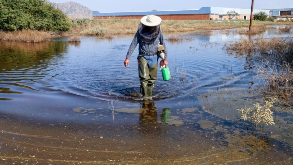 Στους δρόμους και οι μελισσοκόμοι – Πανελλήνια κινητοποίηση κατά της κυβερνητικής επίθεσης στο ελληνικό μέλι