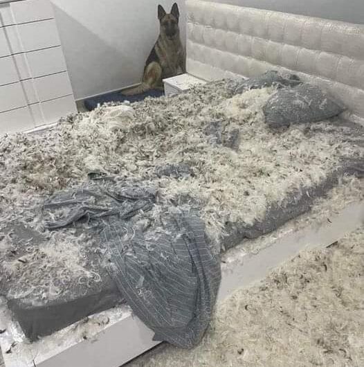 Κεντρίσματα