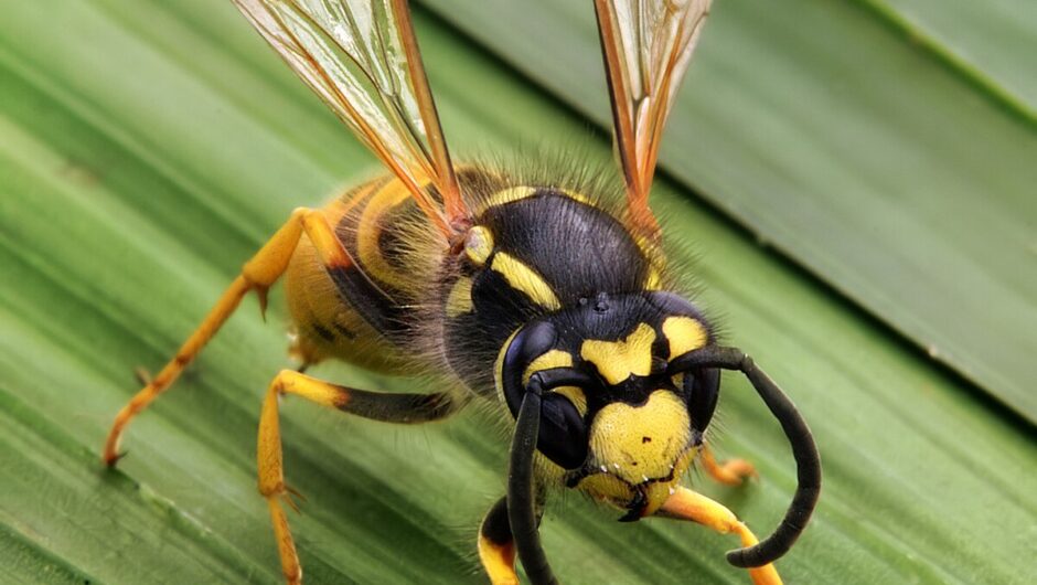 Διάφορα βίντεο απο τικ τοκ και χ