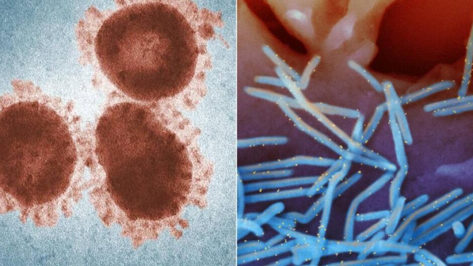 Αττική – Λύματα / Αντίο στο 2023 με κοκαΐνη, ξεκίνημα του 2024 με έκρηξη κορωνοϊού και λοιμώξεων