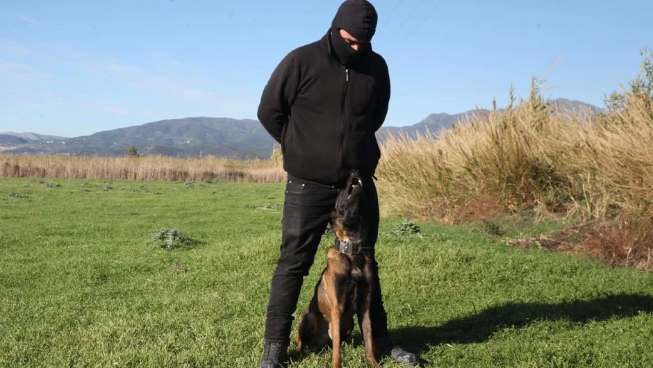 Μεσολόγγι: Το σκυλί γάβγιζε ασταμάτητα όταν βρήκε τη σορό του Μπάμπη, λέει ο εκπαιδευτής του – Δείτε βίντεο