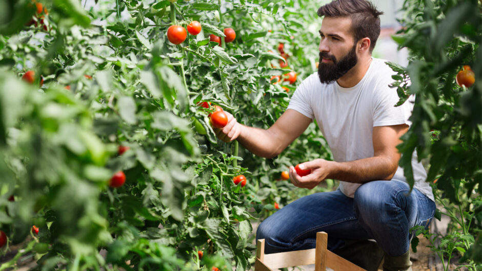 Ασφαλιστικές εισφορές: Τι θα πληρώσουν οι αγρότες με το νέο έτος