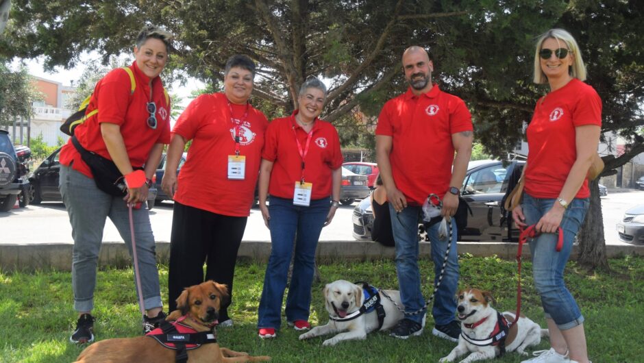 Βελτιώνουν την υγεία και τον ψυχικό κόσμο ιδιαίτερων ανθρώπων οι σκύλοι θεραπείας