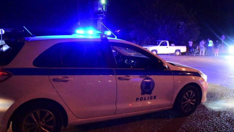 Πήλιο: Τρόμος από τη δολοφονία σκύλου στην απόπειρα ληστείας – Τι λένε οι κάτοικοι