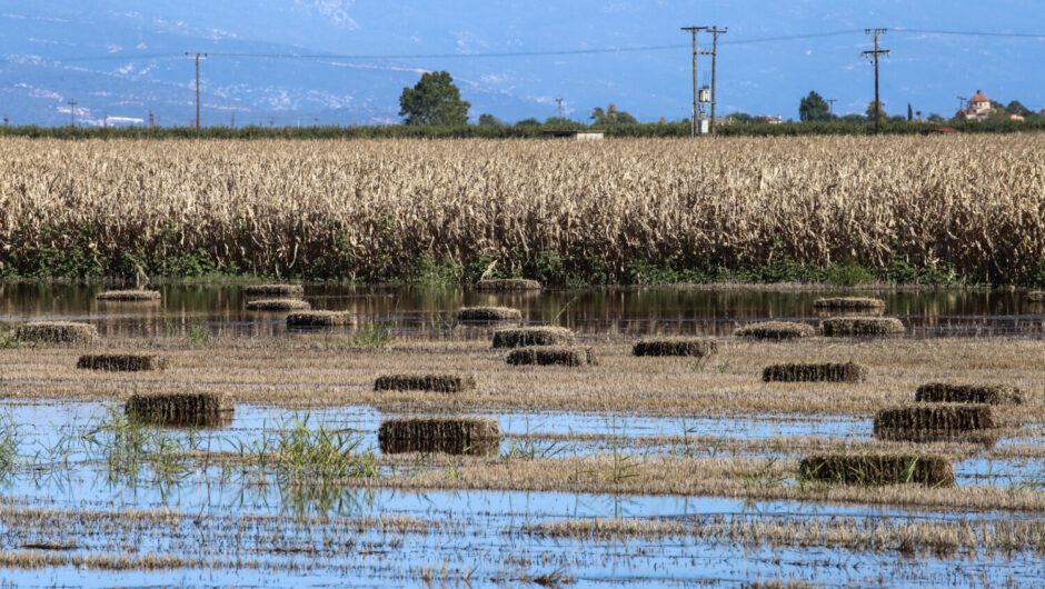 Θεσσαλία: Τα βήματα για τις αποζημιώσεις της κρατικής αρωγής