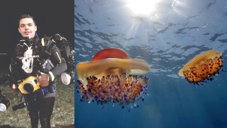 Ο μαγικός βυθός της θάλασσας μέσα… απ΄ τον φακό ενός διδάκτορα του Πανεπιστημίου Θεσσαλίας